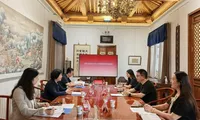 北京市工商联到振兴国际智库调研交流“一企一策”服务工作