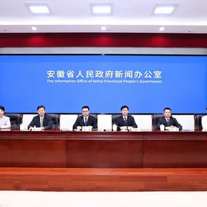 新动作！押中京东方、蔚来、长鑫后，合肥“十五五”要投这些领域！