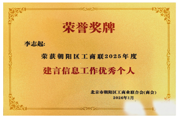 建言信息工作优秀个人