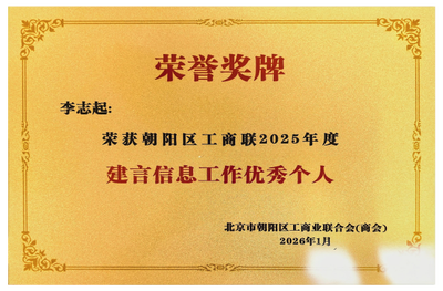 建言信息工作优秀个人