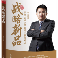 战略新品